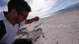 YouTuber Viva Frei explores the shores of the Salton Sea
