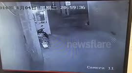 Policeman hurts woman by accident when shooting wild boar