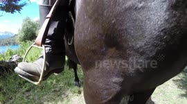 Argentinean gauchos riding horse in the Patagonia