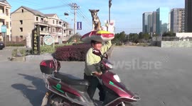 Dog sits on owner's head every time it goes for a walk in China’s Zhejiang