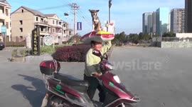 Dog sits on its owner's head in China