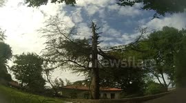 Lumberjack catapults into a tree (no audio)