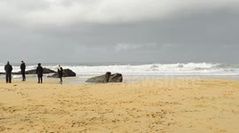 the national pap and newspaper photographers was stalking this group of people in cornwall