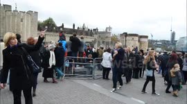 Time Lapse Of Crowds Of Tourists visiting the London Poppies 1