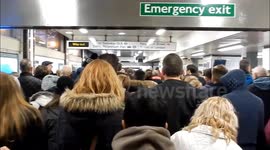 Tourists Flock To See The Poppies
