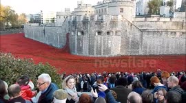 Timelapse of crowds visiting Tower of London poppy memorial