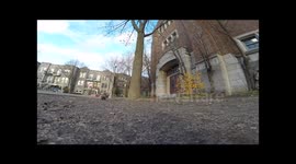 A squirrel nabbed my GoPro and carried it up a tree...