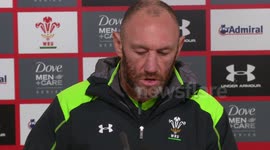 Wales Pre-Match Press Conference - Wales v Fiji 15th Nov 2014
