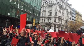 Demonstration In Prague Against Mr. President