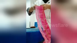 Chef uses cleaver to finely carve radish into netting