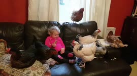 Three-year-old watches chicken run with her chicken friends
