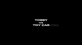 Cute dog playing with toy car