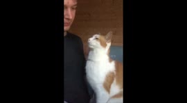 When your date won't take no for an answer (cat)