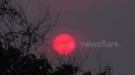 Swallows fly past a big orange setting sun.