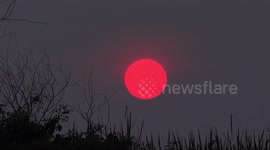 Swallows fly past a big orange sunset in Thailand.