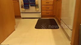 Sliding into Monday like!!!