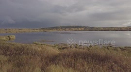 Pair of geese flying above the river