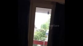 Man raids bins and steals washing off washing line from communal garden  behind building