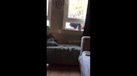 Scottish woman RANT part 2