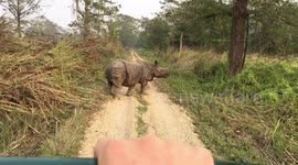 Over passing the most dangerous animal in the world - rhinoceros. Chitwan National Park, Nepal.