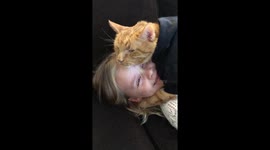 Ginger cat is happiest giving his 'little sisters' a hug