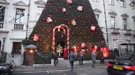Amazing Christmas Tree In Mayfair