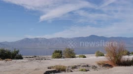 YouTuber Viva Frei explores the Salton Sea and makes case for saving it...