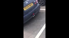 Shoplifter caught on camera