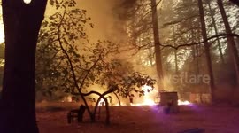 Woman prays for missing cat as Camp Fire sweeps yard