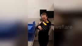 Emotional moment owner is reunited with cat after devastating Camp Fire