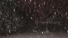 November Snowstorm
