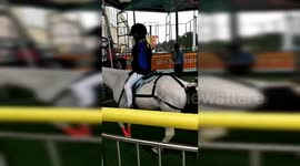 Chinese merry-go-round with real horses kicks up controversy