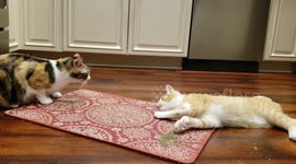 Trying Weed for the First Time