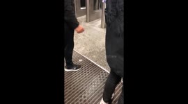 Tiny sausage dog scared of ticket barriers on the Tube