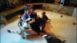 What is heaven? A pile of Aussie puppies that all need hugs