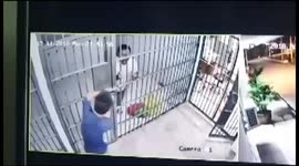 Prisoner escapes after tricking policeman by claiming there was a snake inside cell