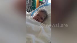 Mother saves her sick toddler's life by donating her kidney