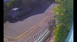 CCTV Dog poo fling