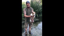 Swim mode activated on Jack Russell dog!