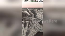 Art teacher makes amazing drawings out of dust on dirty cars