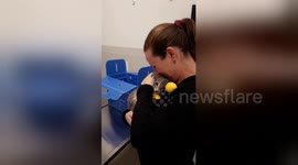 Camp Fire victim prays as town burns, is reunited with lost cat days after