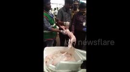 Indian officials reveal illegal food cargo 'is not canine meat' after public outcry