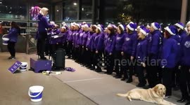 Christmas carol at St Pancras station