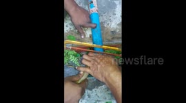Painstaking rescue of cobra trapped in iron pipe