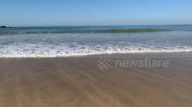 Waves on beach, sunny day