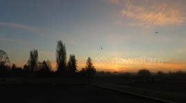 Sunrise and a red tailed hawk