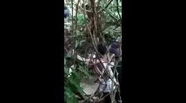 Residents in Pariaman Regency, West Sumatra, Indonesia caught a large python