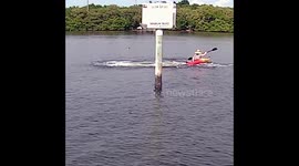 Reckless kayaker gets lifted into air by frightened manatee