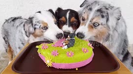 Kari Birthday