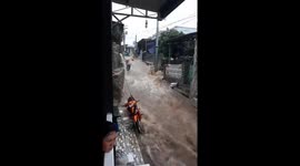 The flash flood caused by the typhoon Usagi in southern Vietnam
